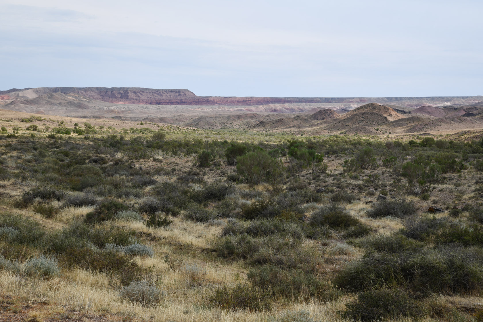 Горы Улькен-Богуты, image of landscape/habitat.