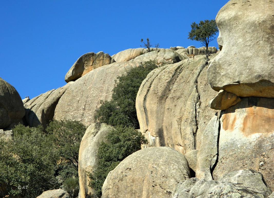 El Yelmo (Эль Ельмо), image of landscape/habitat.