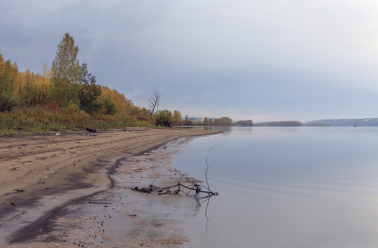 Кунчурихинский бор, image of landscape/habitat.