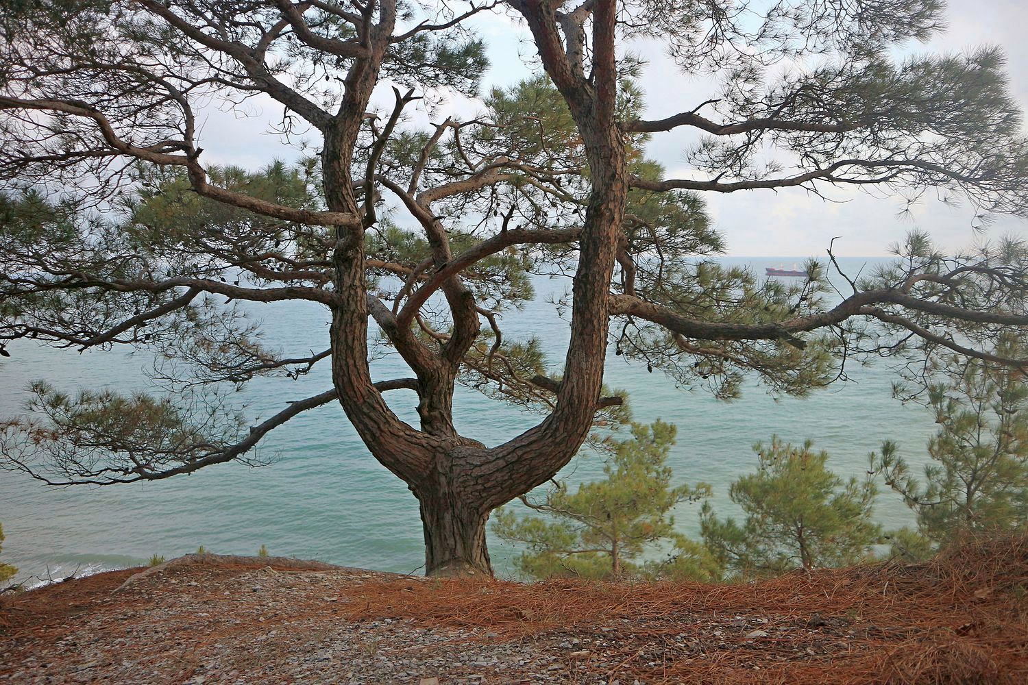 Третья щель, image of landscape/habitat.