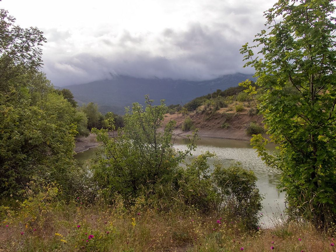 Посёлок Лесной и окрестности, image of landscape/habitat.