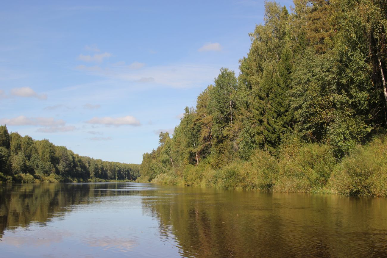 Окрестности устья ручья Луковка, image of landscape/habitat.