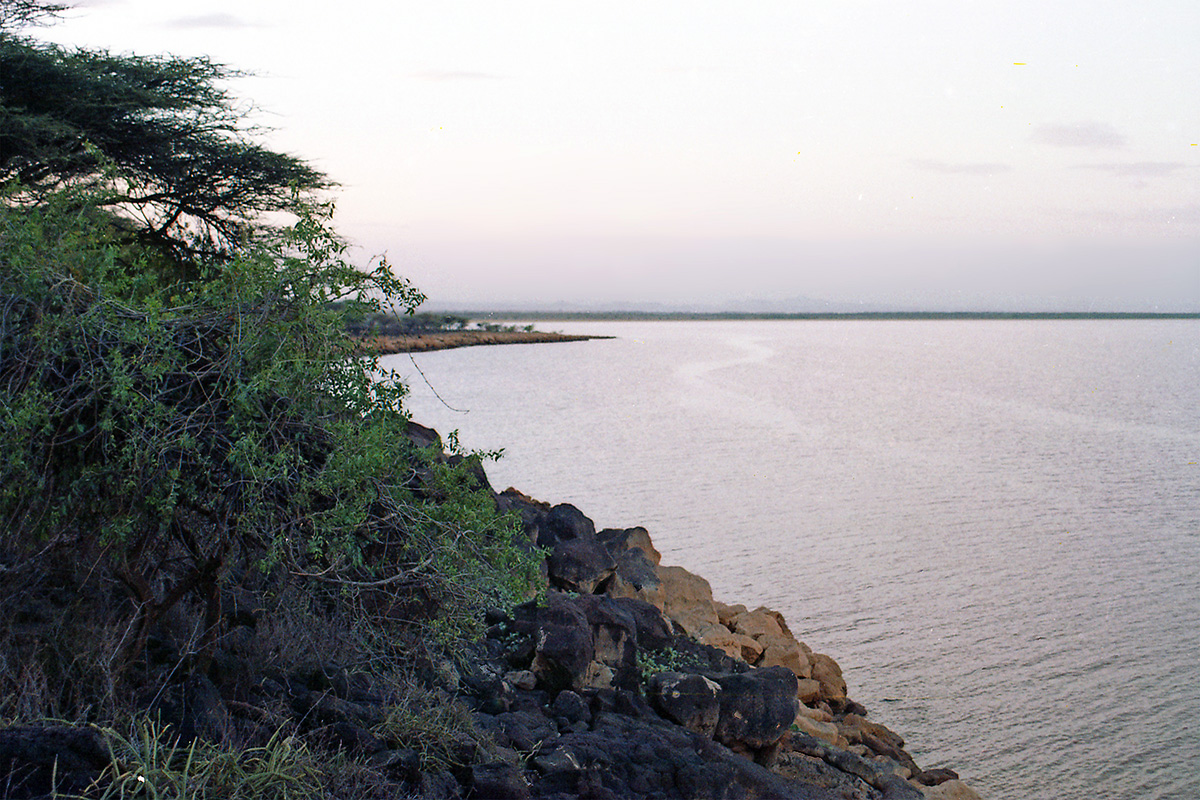 Озеро Баринго, image of landscape/habitat.