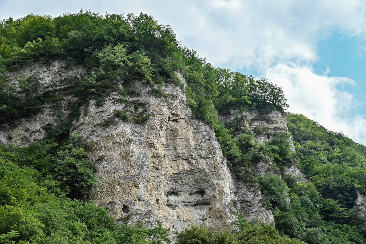 Нихалойские водопады, image of landscape/habitat.