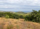 Посёлок Лесной и окрестности, image of landscape/habitat.