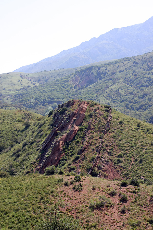 Ущелье Кызылбулак, image of landscape/habitat.