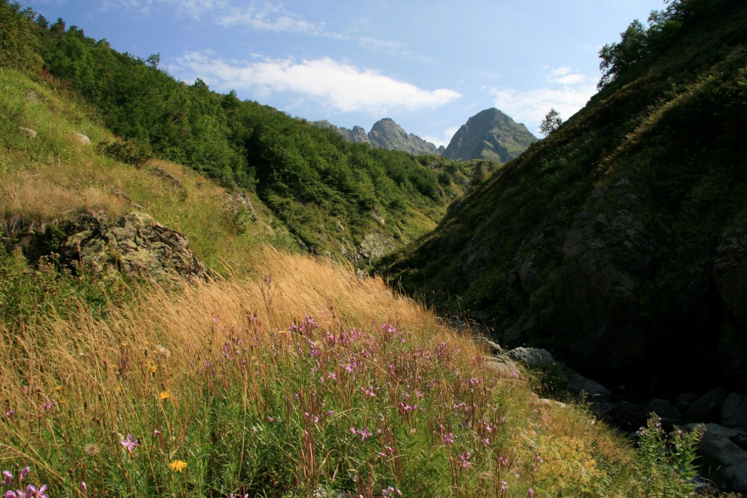 Чедымский хребет, image of landscape/habitat.