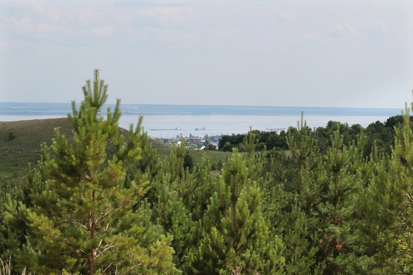 Хвалынск и окрестности, image of landscape/habitat.