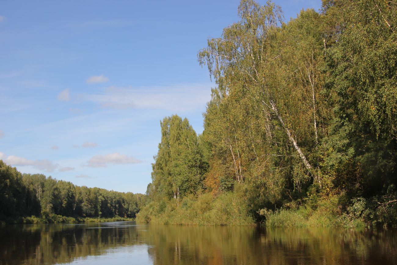 Окрестности устья ручья Луковка, image of landscape/habitat.