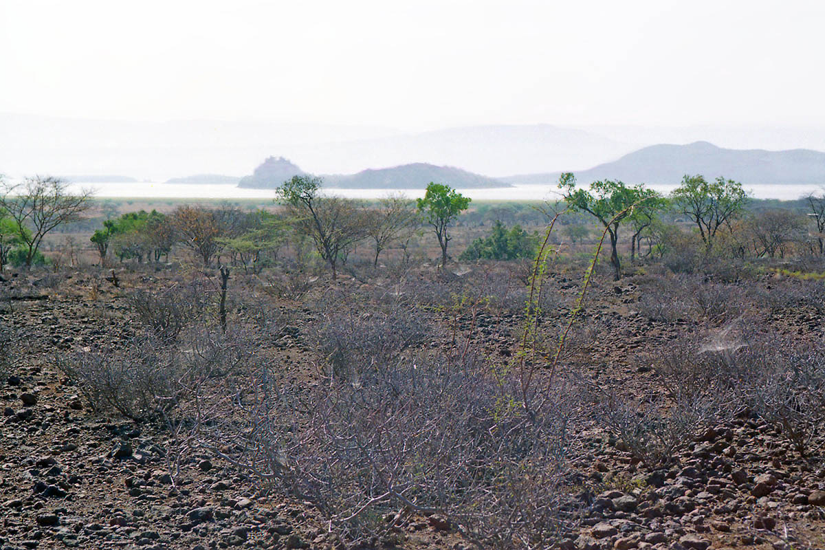 Озеро Баринго, image of landscape/habitat.