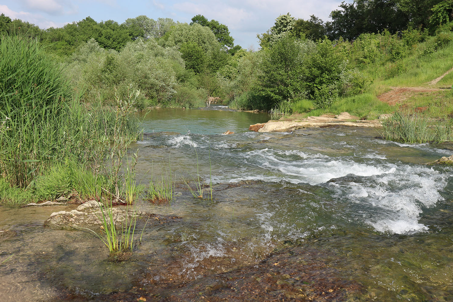 Река Неберджай, image of landscape/habitat.