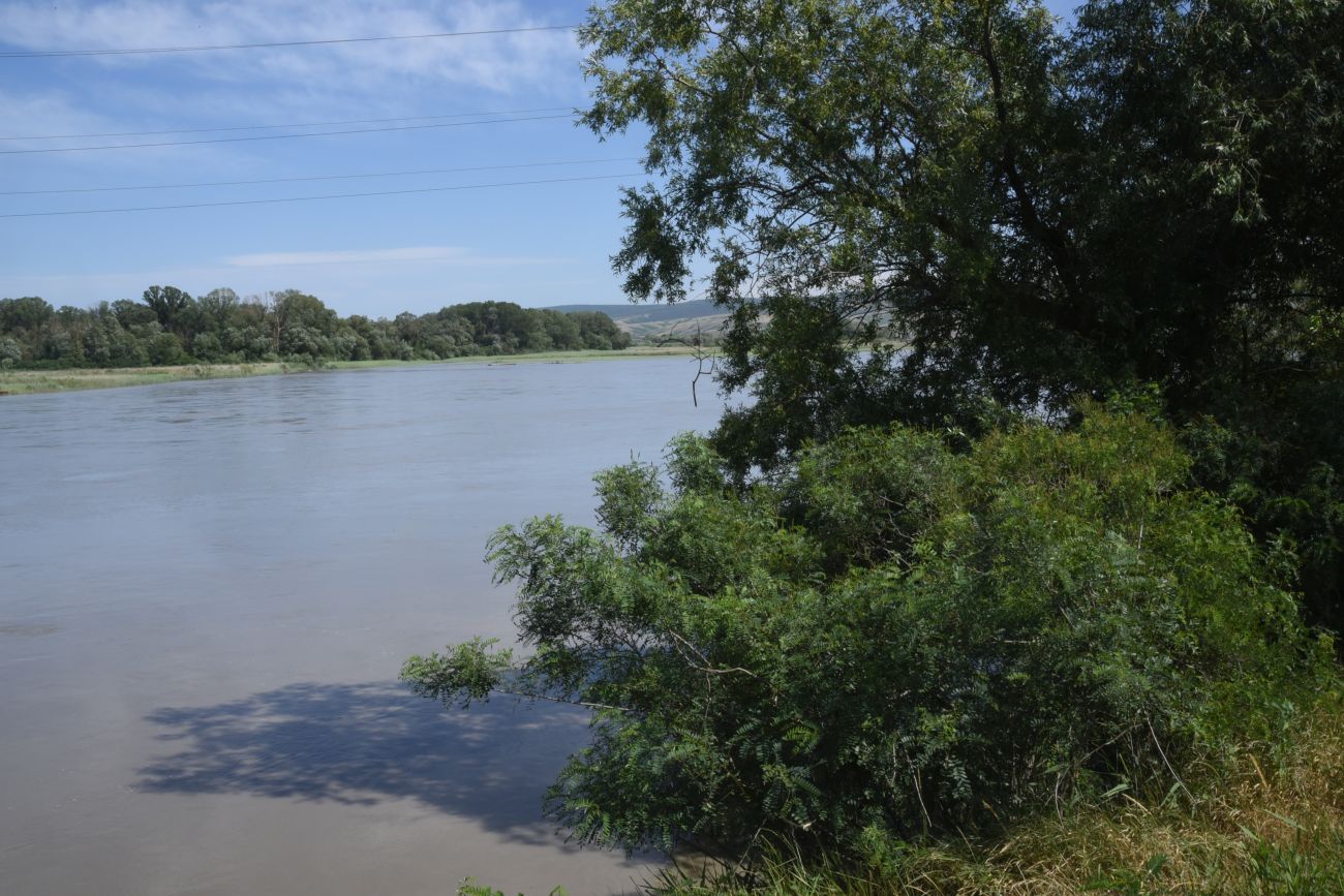 Виноградное и окрестности, image of landscape/habitat.