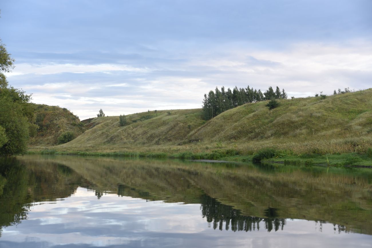 Окрестности села Долгое, image of landscape/habitat.