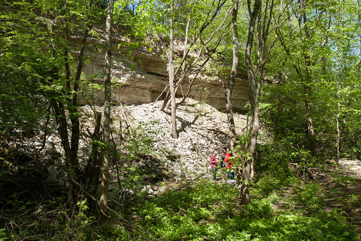 Каньон реки Лава, image of landscape/habitat.