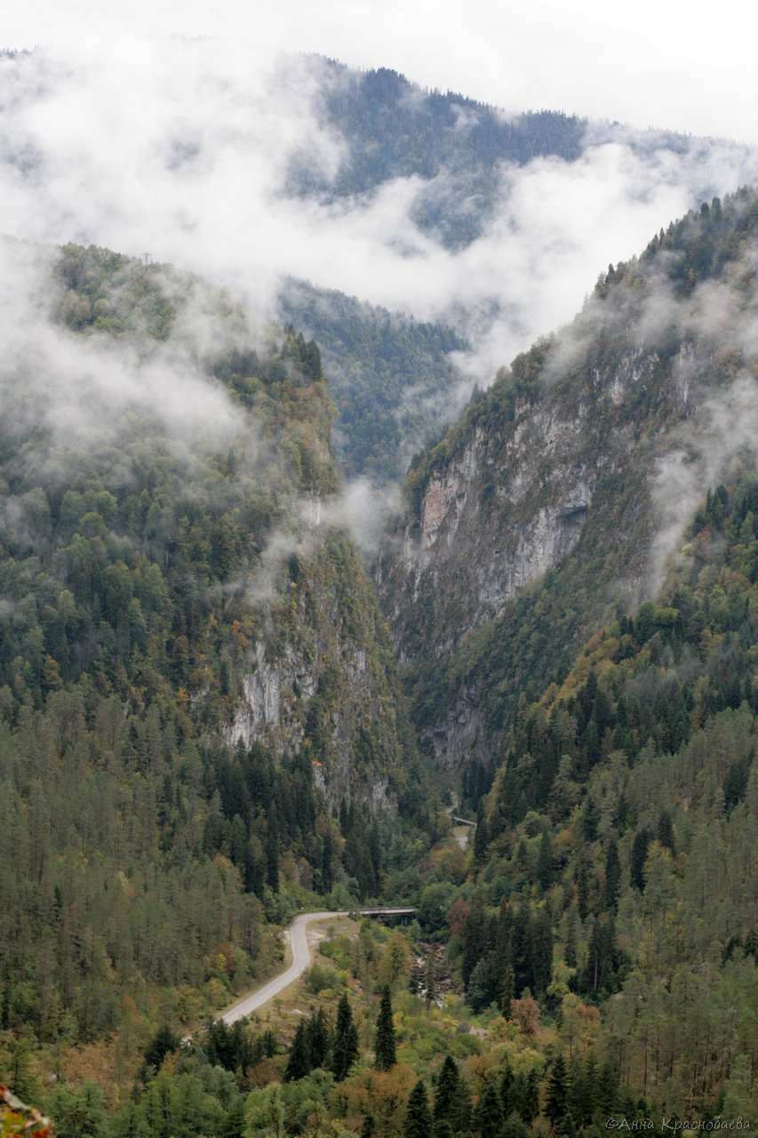 Юпшарский каньон, image of landscape/habitat.