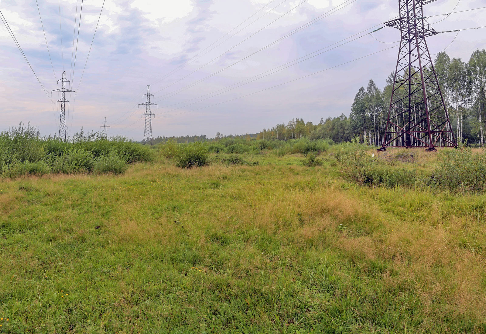 Окрестности Краснокамска, image of landscape/habitat.