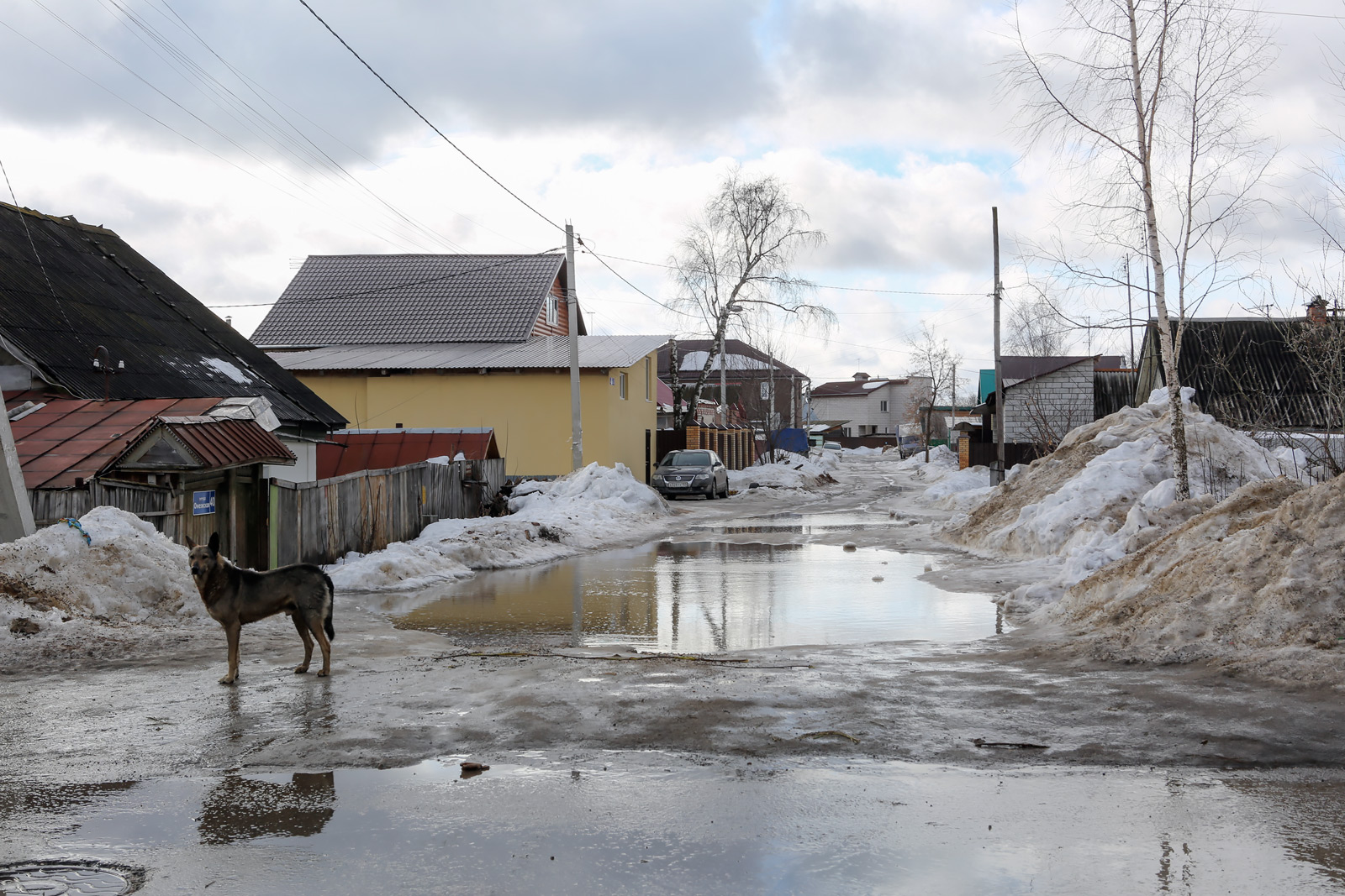 Закамск, image of landscape/habitat.