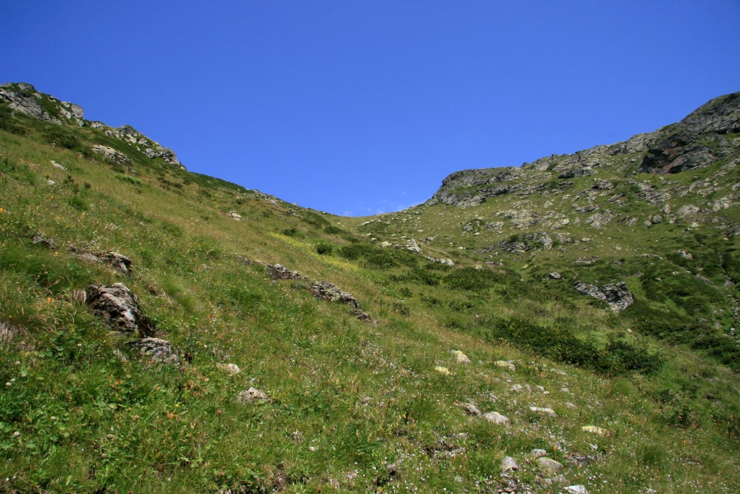 Чедымский хребет, image of landscape/habitat.