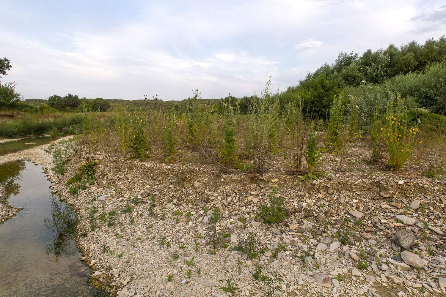 Река Неберджай, image of landscape/habitat.