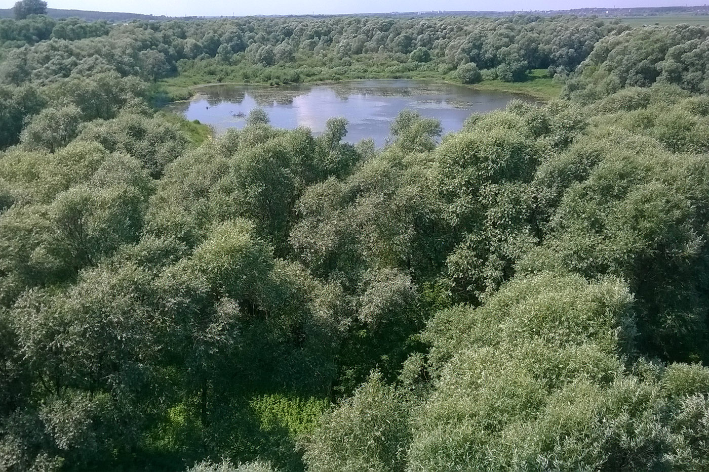 Берег р. Ока у г. Серпухов, image of landscape/habitat.