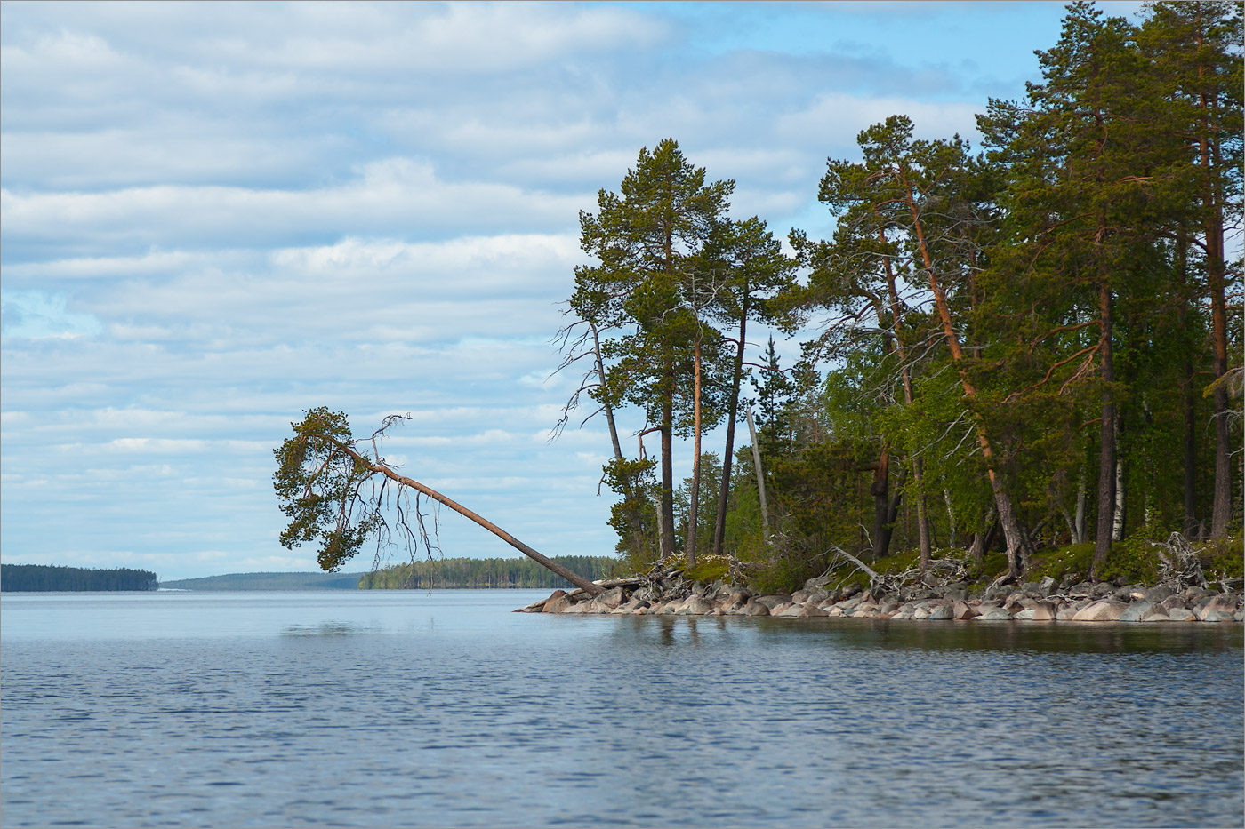 Топозеро, image of landscape/habitat.