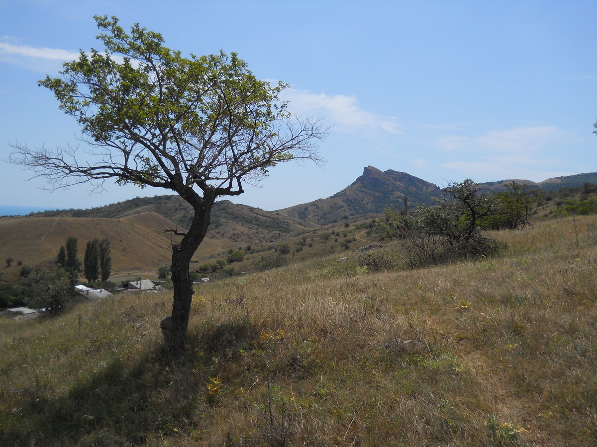 Карадаг, image of landscape/habitat.