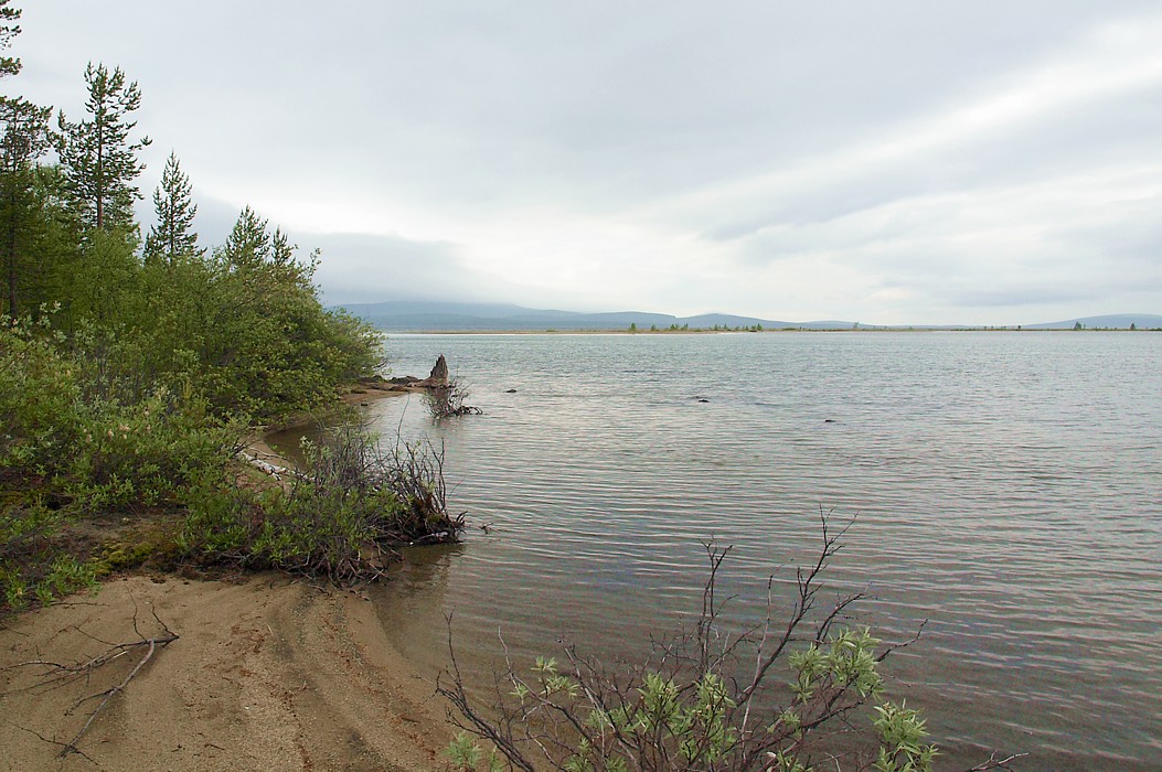 Имандра, image of landscape/habitat.