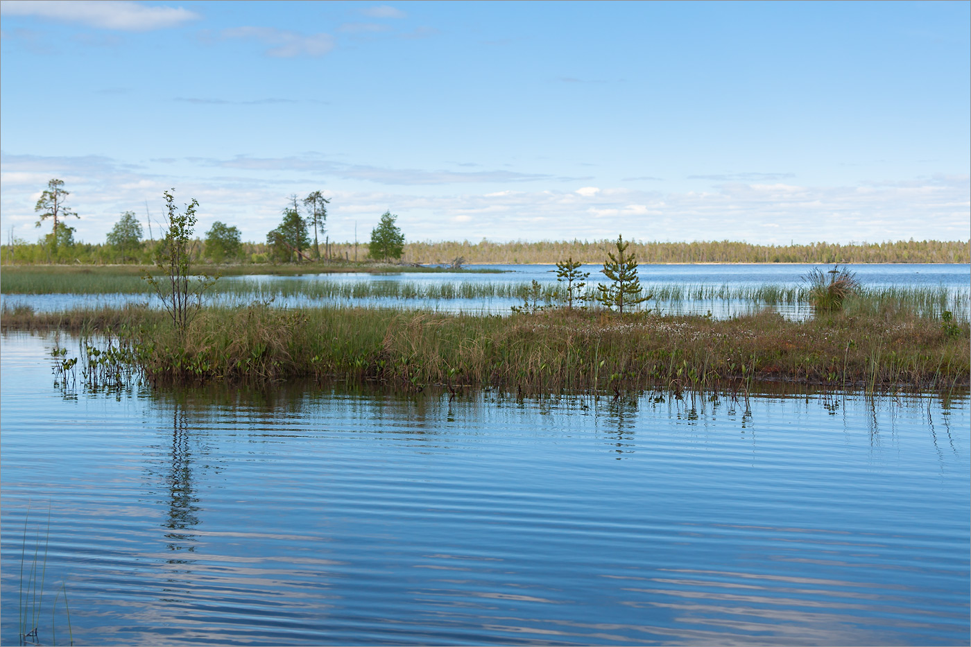 Топозеро, image of landscape/habitat.