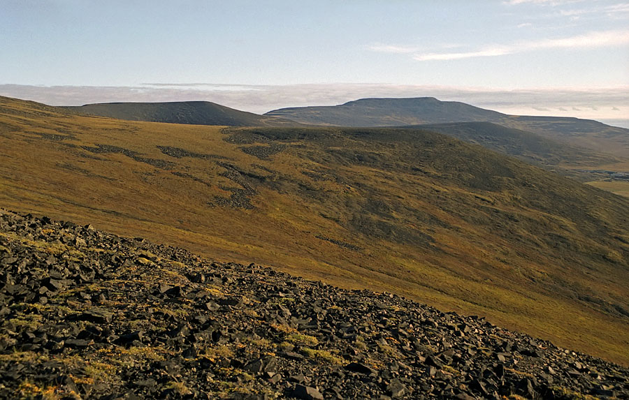 Певек, image of landscape/habitat.