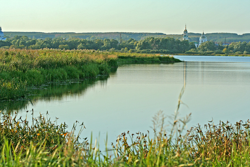 Елабужские луга, image of landscape/habitat.