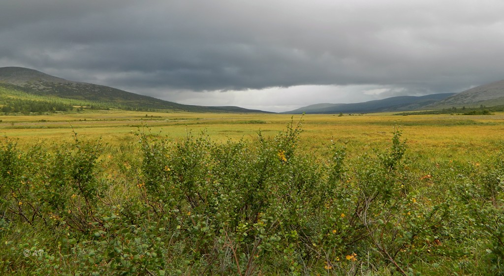 Большой Ханмей, image of landscape/habitat.