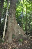 Окрестности лагеря "Lupa Masa", image of landscape/habitat.