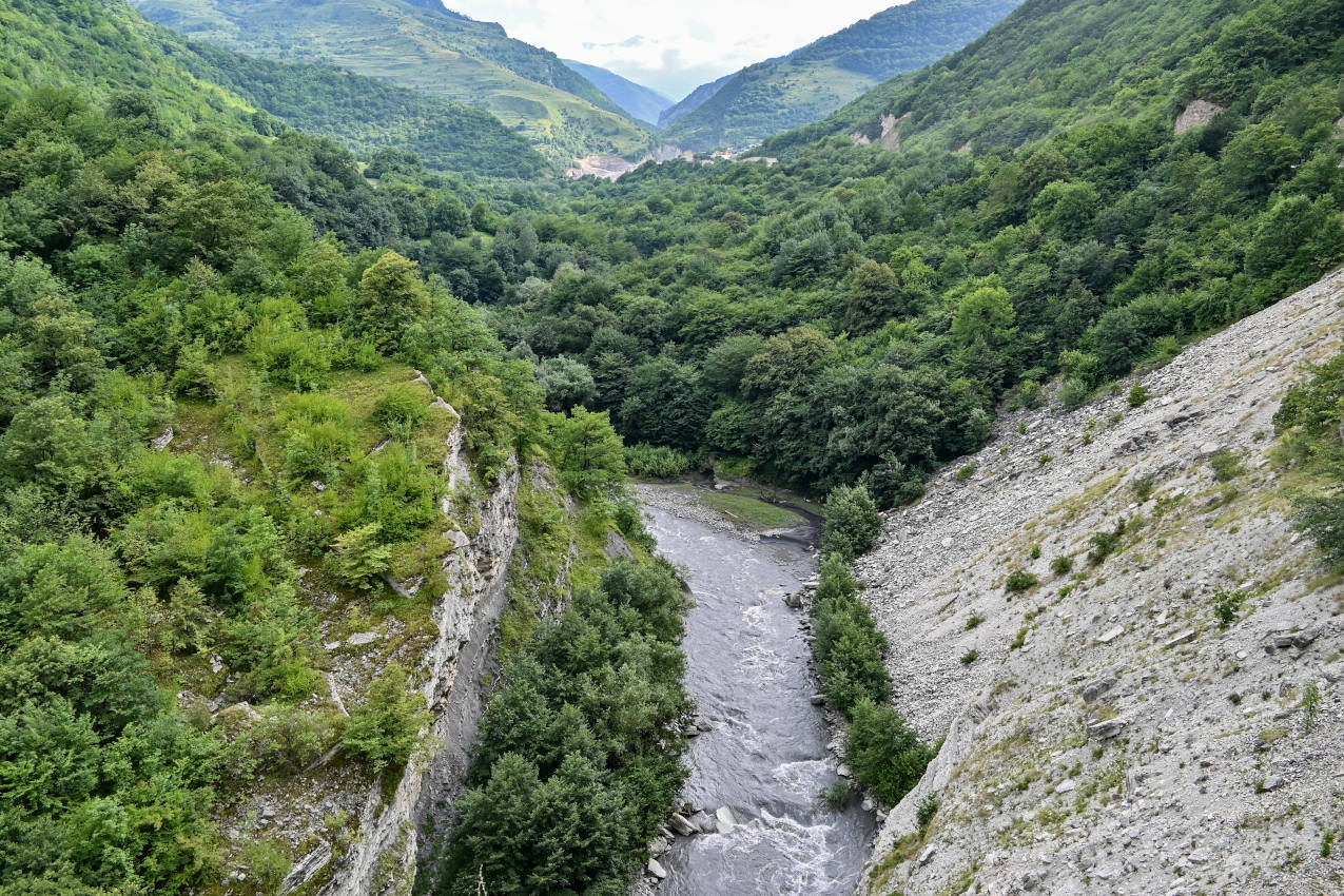 Аргунское ущелье, image of landscape/habitat.