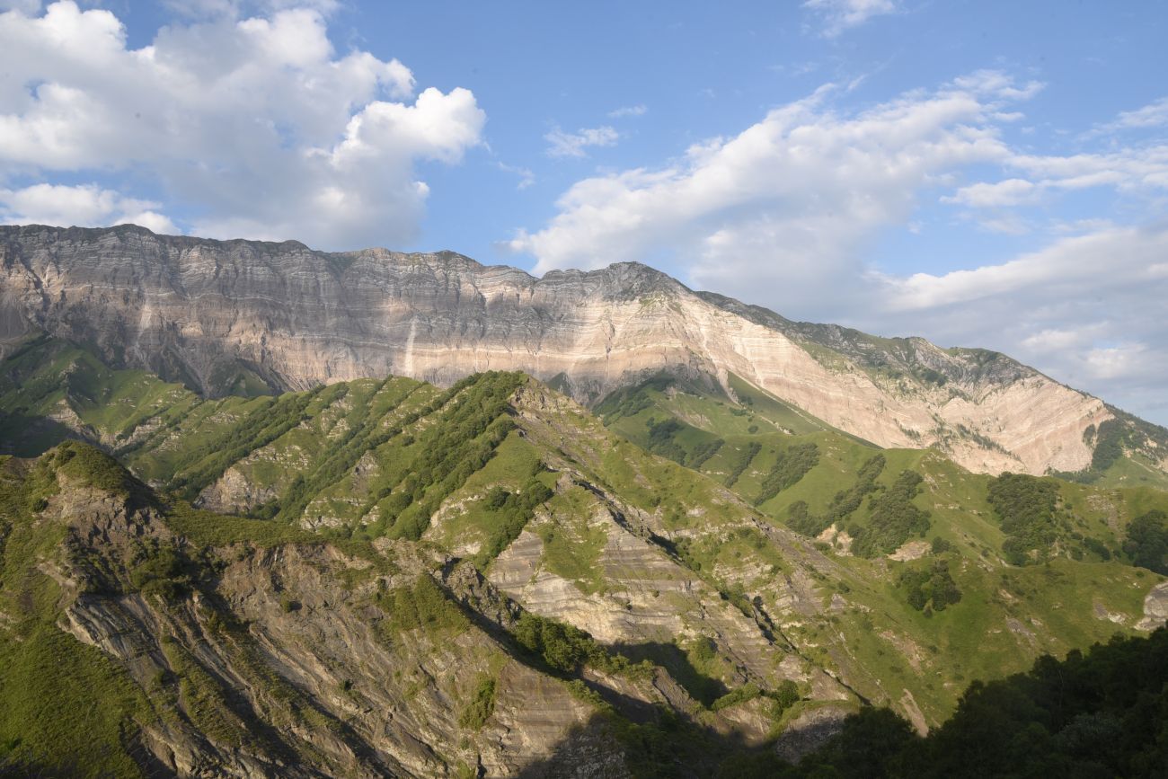 Гора Дайхох, image of landscape/habitat.