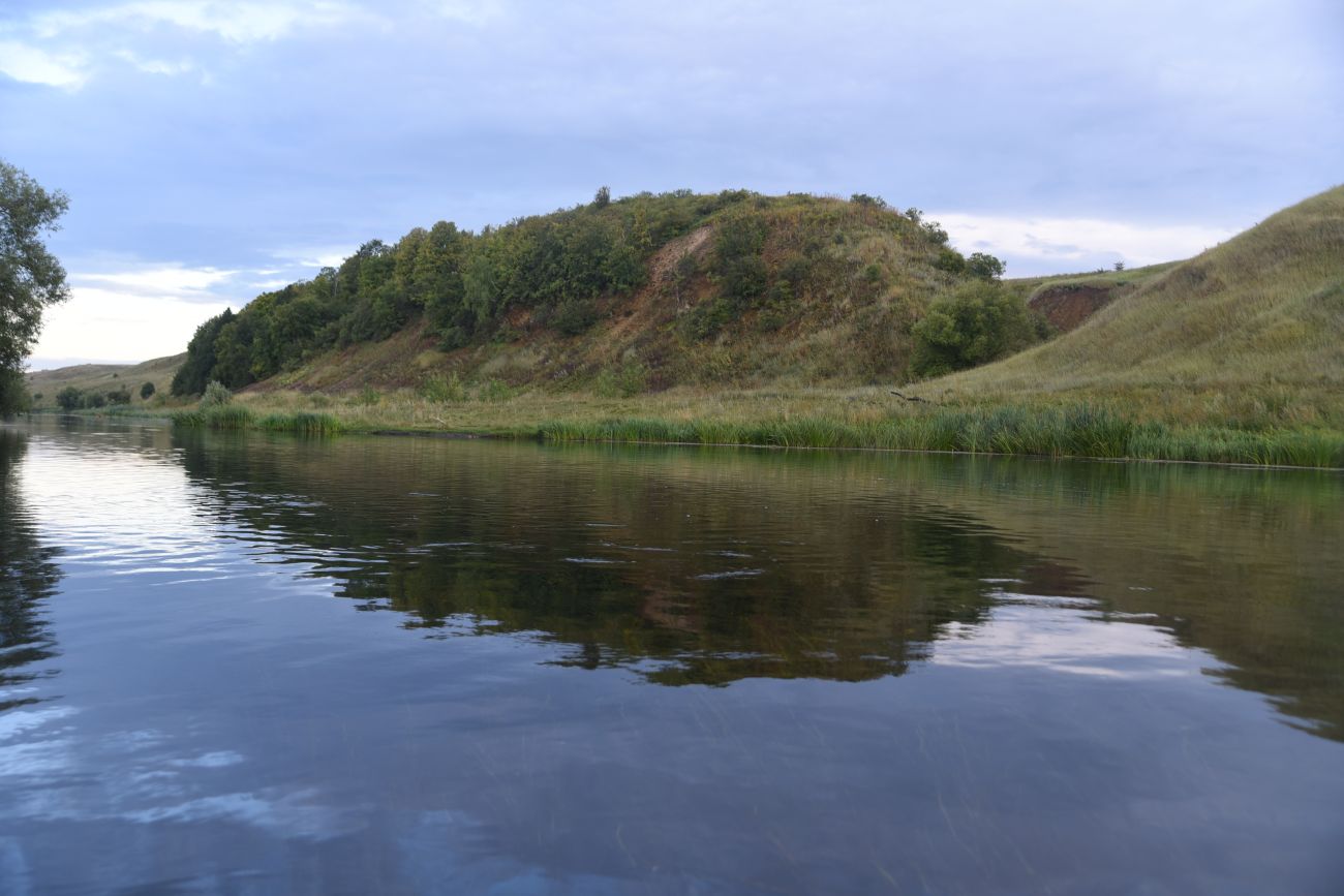 Окрестности села Долгое, image of landscape/habitat.