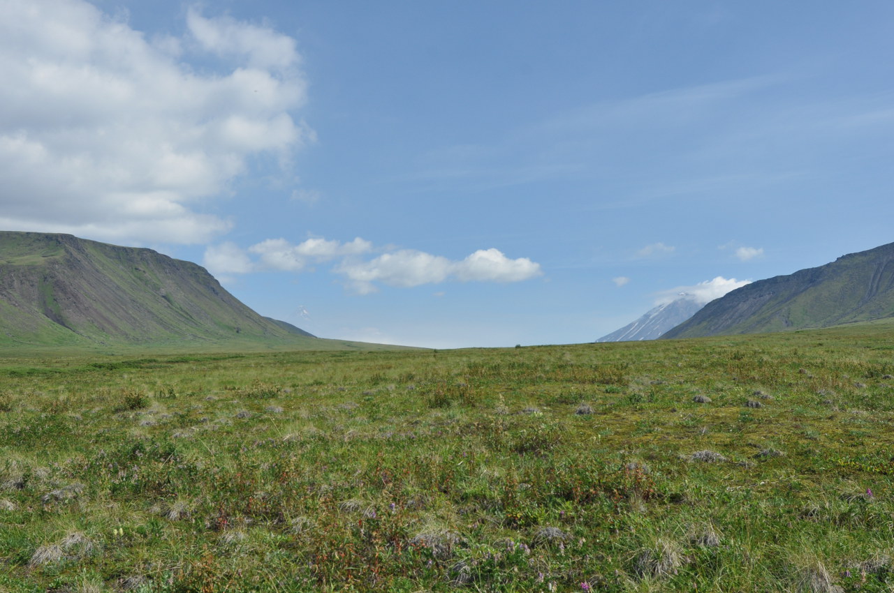 Окрестности перевала Толуд, image of landscape/habitat.