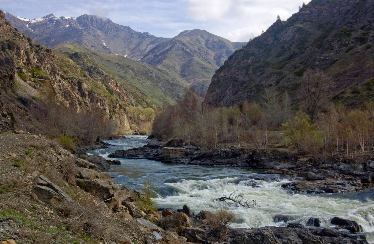 Окрестности села Коксу, image of landscape/habitat.