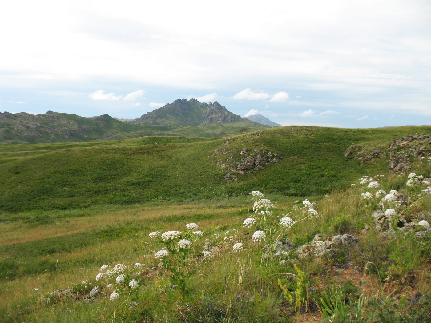 Перевал Шириккайын, image of landscape/habitat.