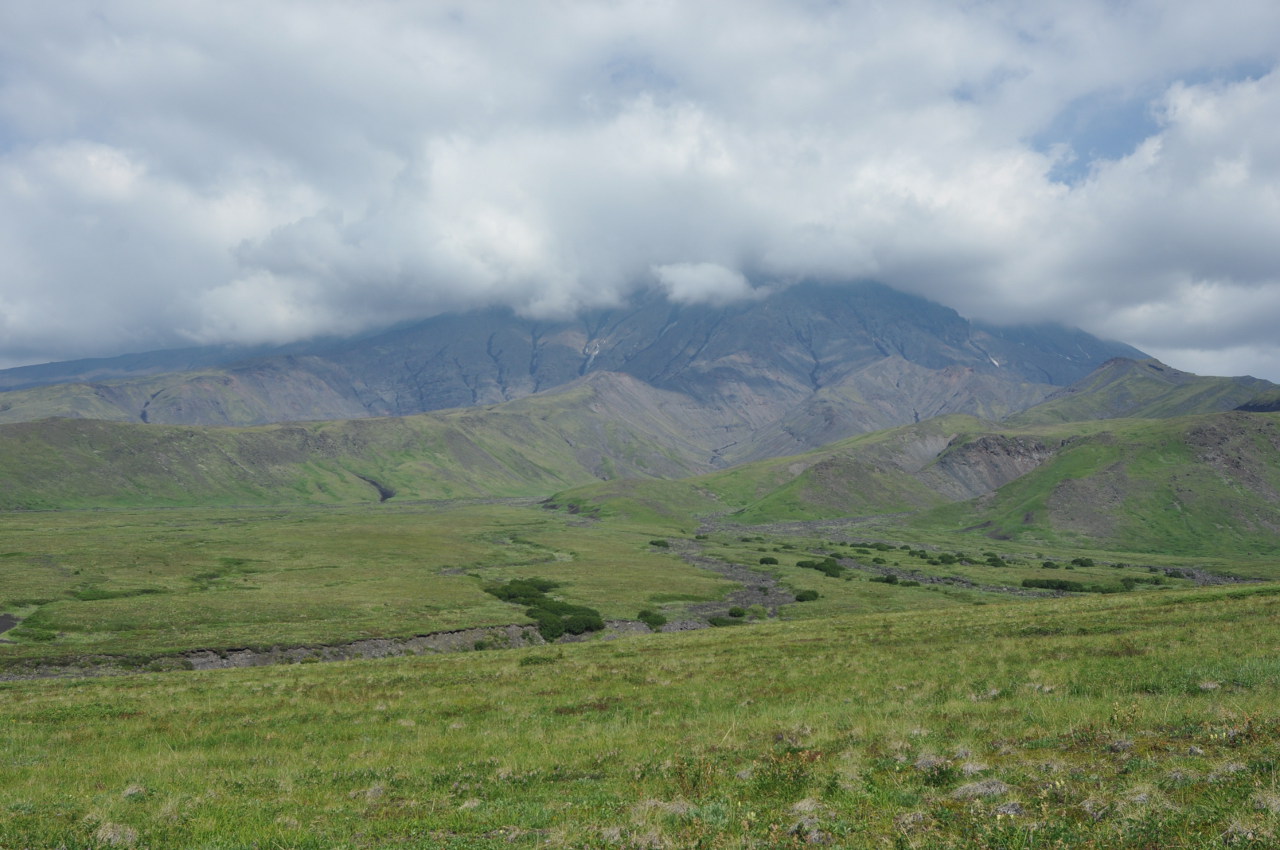 Окрестности перевала Толуд, image of landscape/habitat.