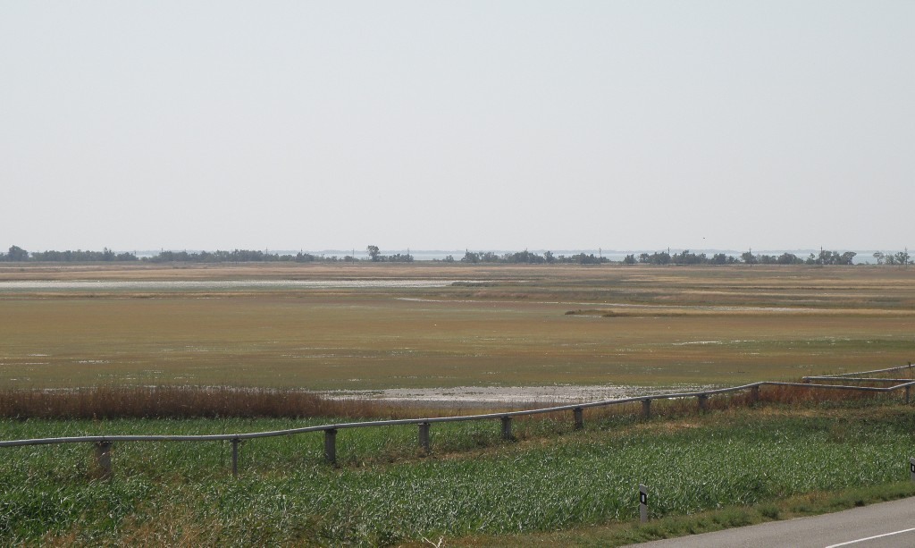 Ханское озеро, image of landscape/habitat.