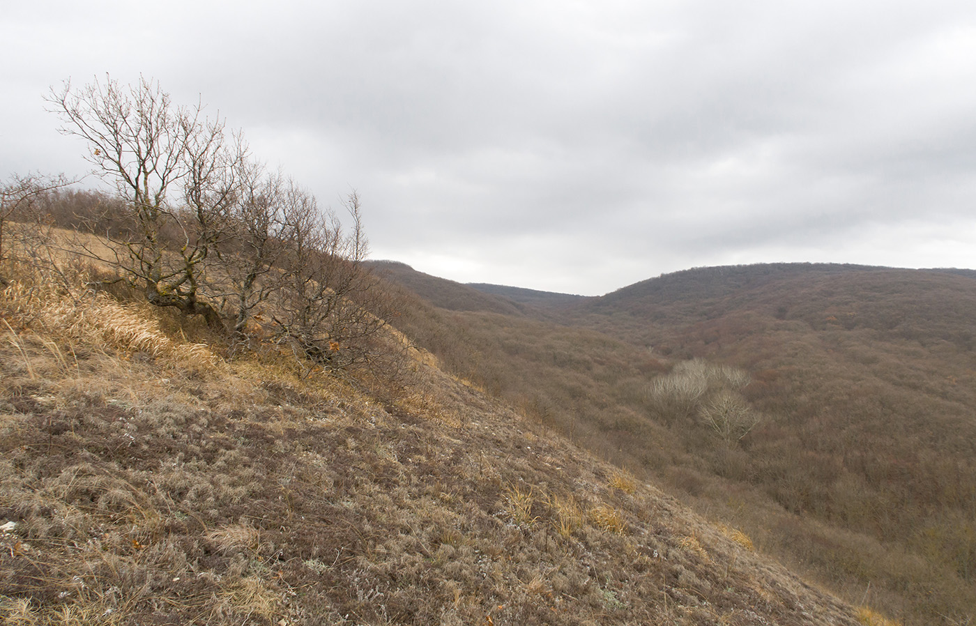 Олешкова щель, изображение ландшафта.