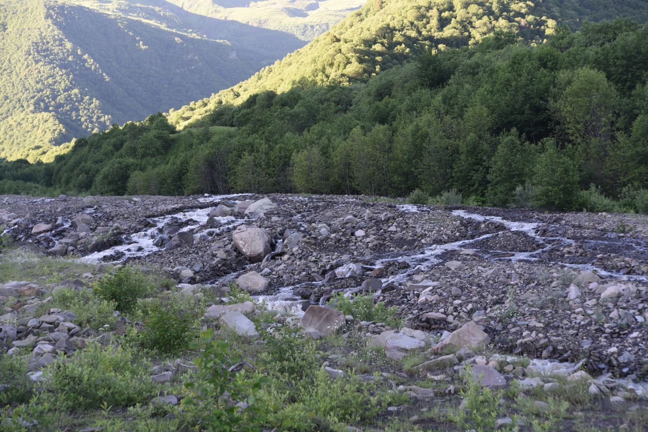 Селение Чайры и окрестности, image of landscape/habitat.