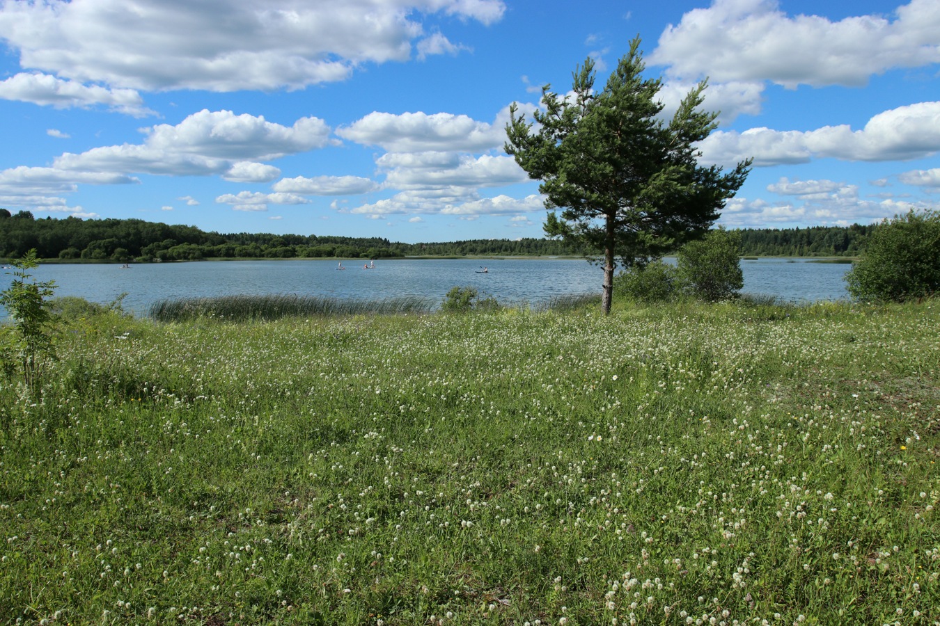 Кюрлевский карьер, image of landscape/habitat.