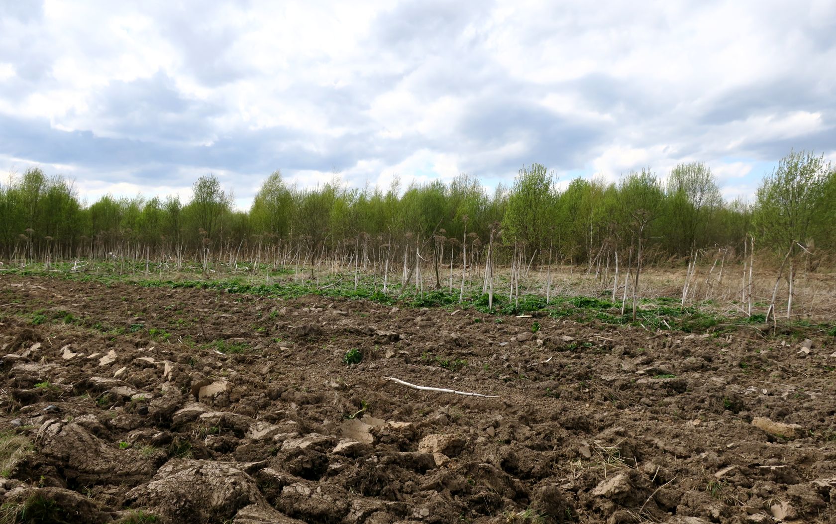 Ярцево, image of landscape/habitat.