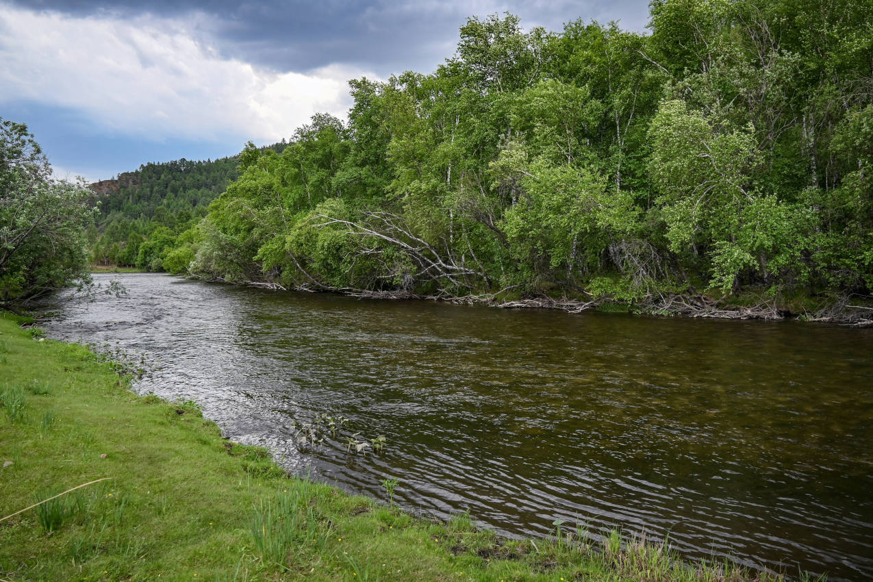 Долина реки Аскиз, image of landscape/habitat.