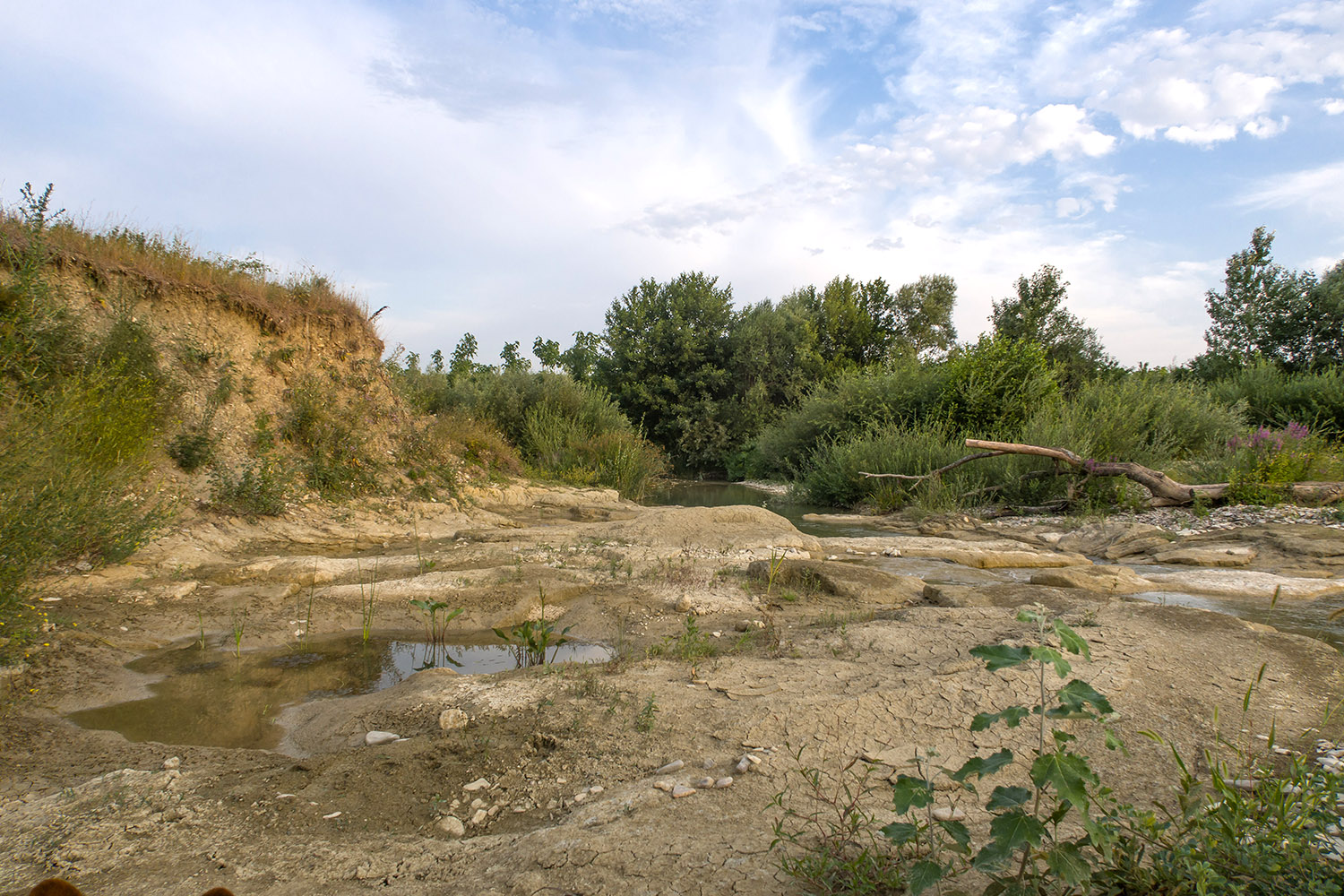 Река Неберджай, image of landscape/habitat.