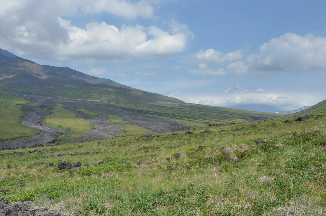 Окрестности перевала Толуд, image of landscape/habitat.