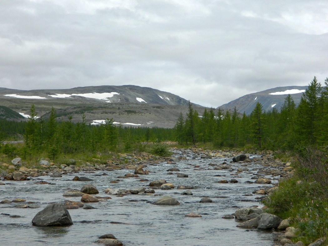 Труба-Ю, image of landscape/habitat.