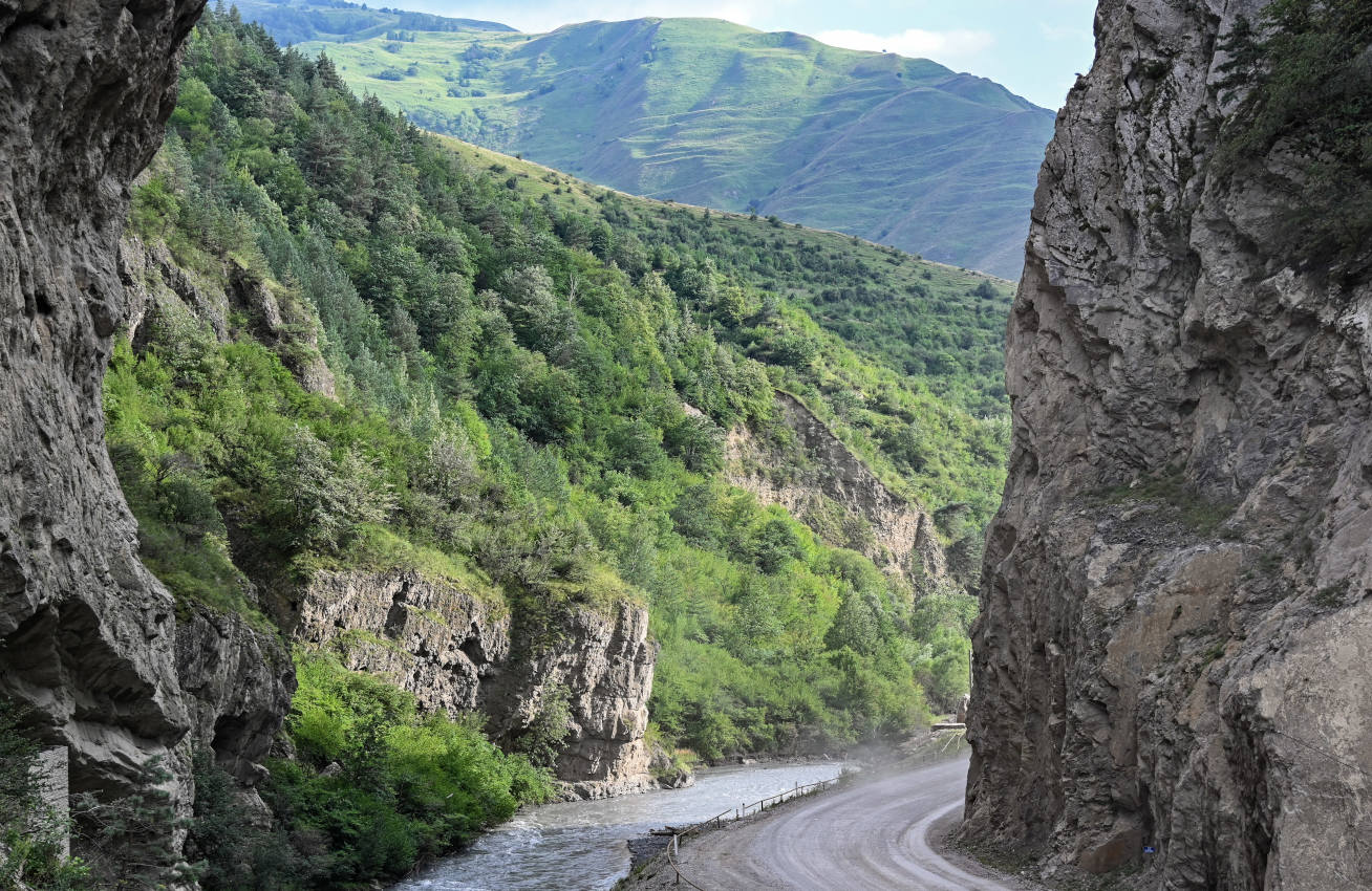 Аргунское ущелье, image of landscape/habitat.