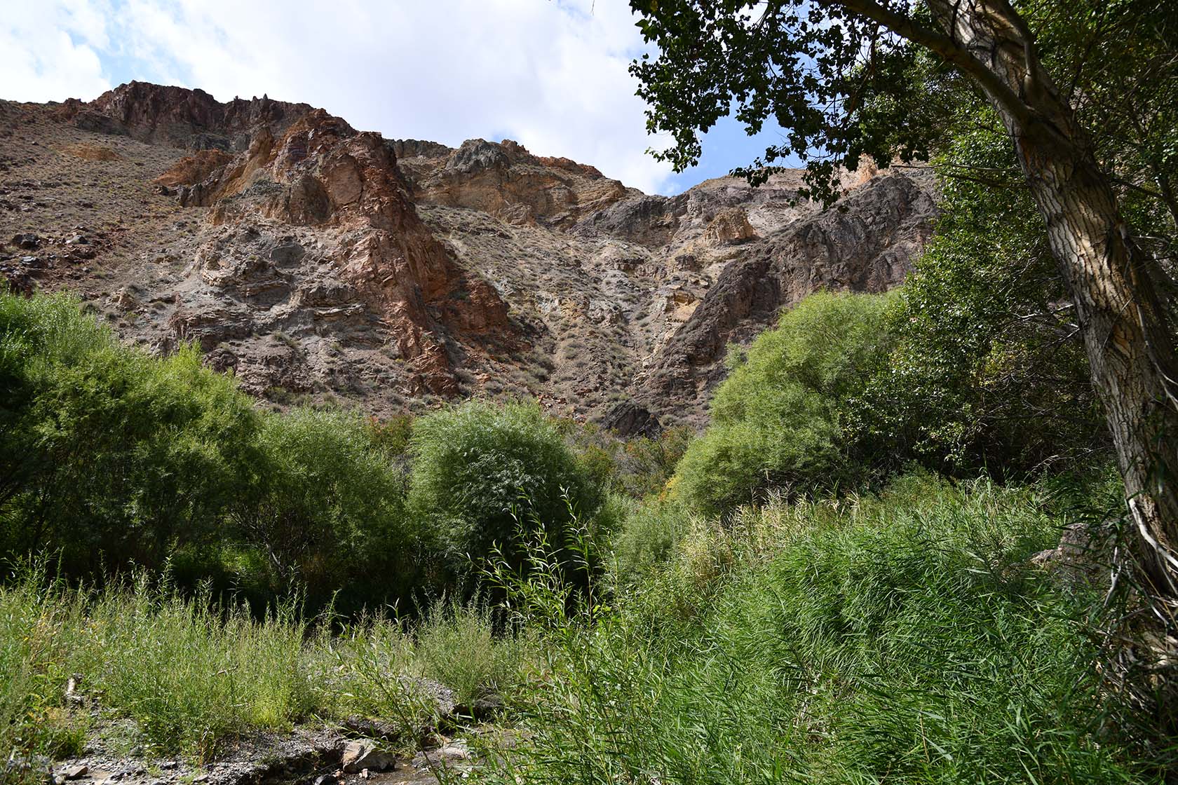 Чарын, image of landscape/habitat.